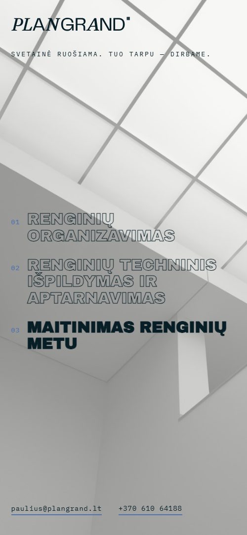 V5 — telefono vaizdas